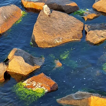 Moenchgut Ii 미델하겐